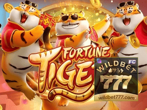Guia install APK WILD BET777 BR